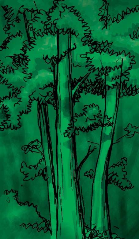 Trees Sketch