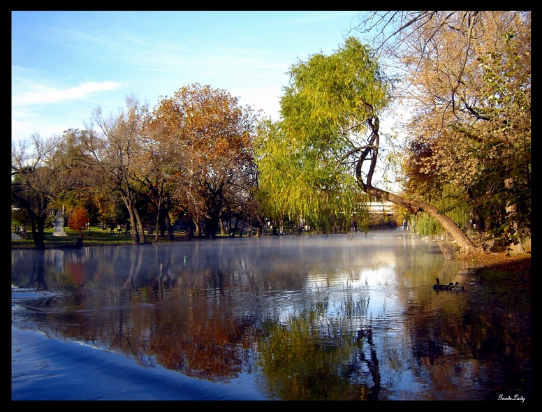 Mornings Reflection