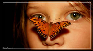 Butterfly Charmer