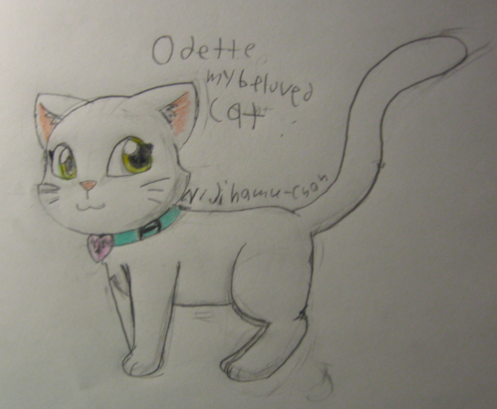 My Beloved Cat, Odette