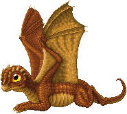 Baby Copper Dragon