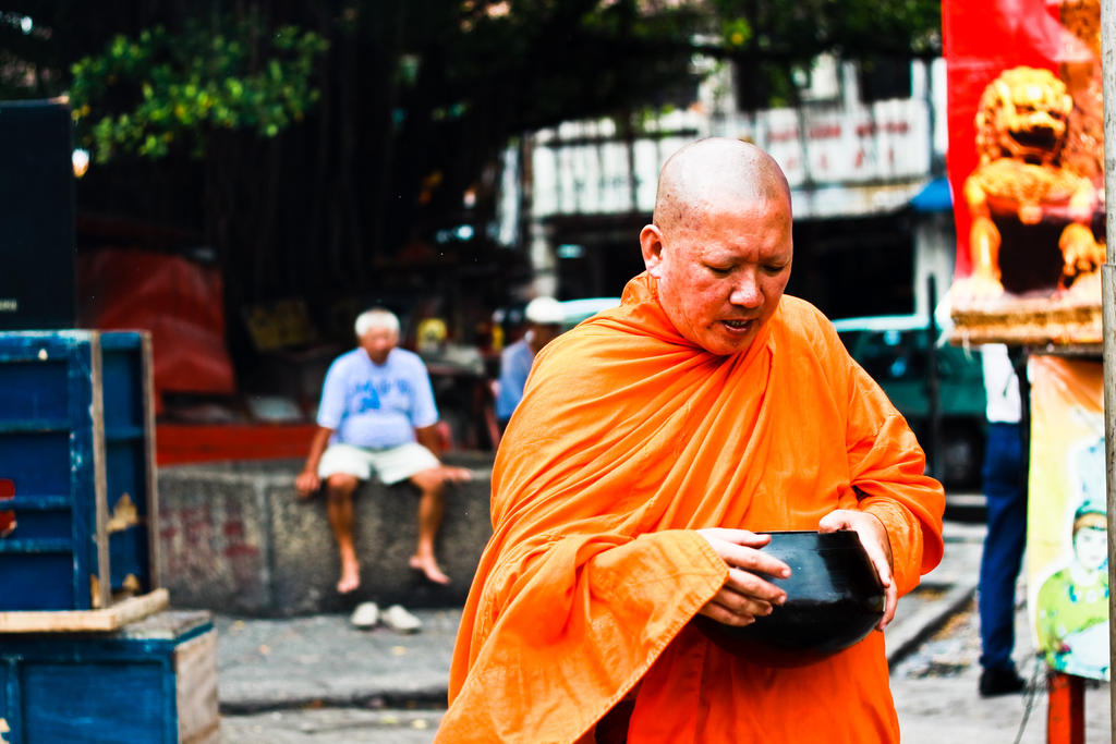 Siamese Monk
