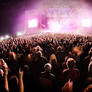 the crowd I
