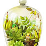 Terrarium Series I