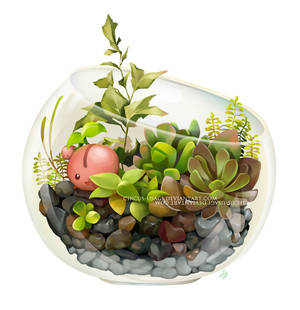 Terrarium Series 2