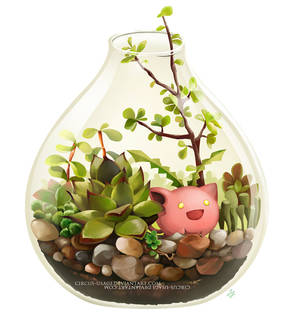 Terrarium Series 3