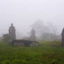 Foggy Graveyard II - Stock
