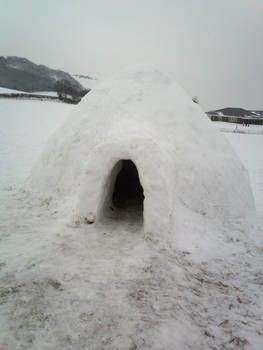 Snow Igloo Stock