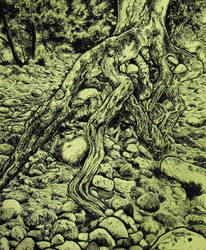 Tree in Pen and Ink