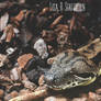 .:Slither:.