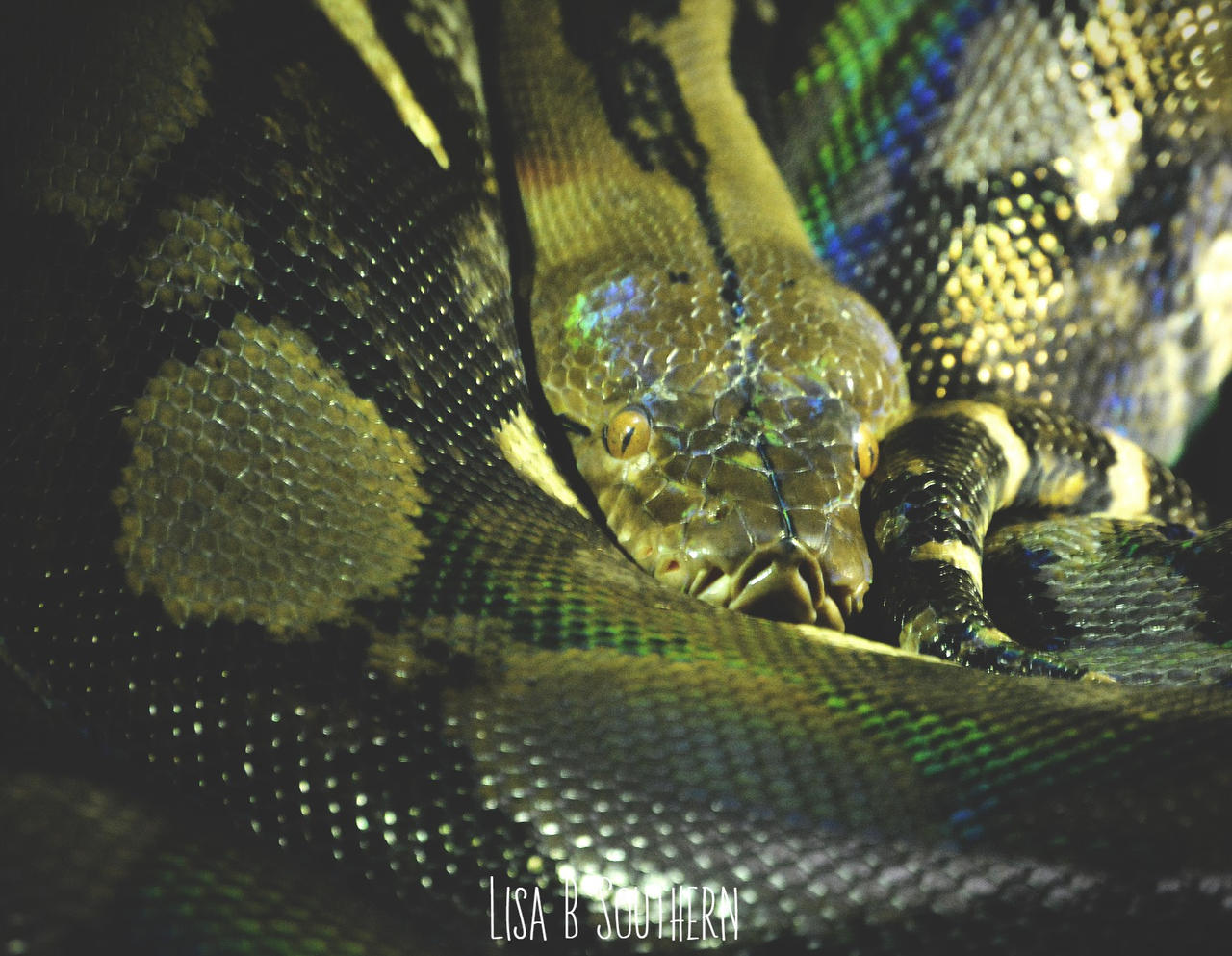 .Draw Me In. by LSouthern on DeviantArt