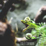.:Unhinged:.