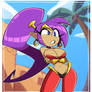 Shantae xp