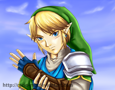 Link Hyrule Warriors