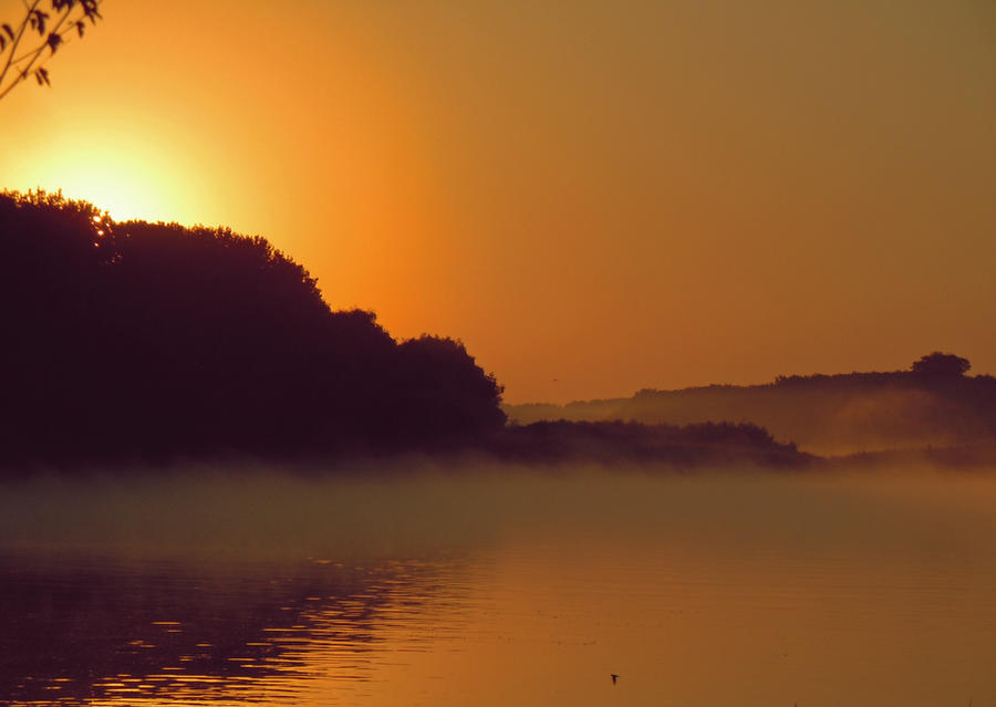 Foggy morning