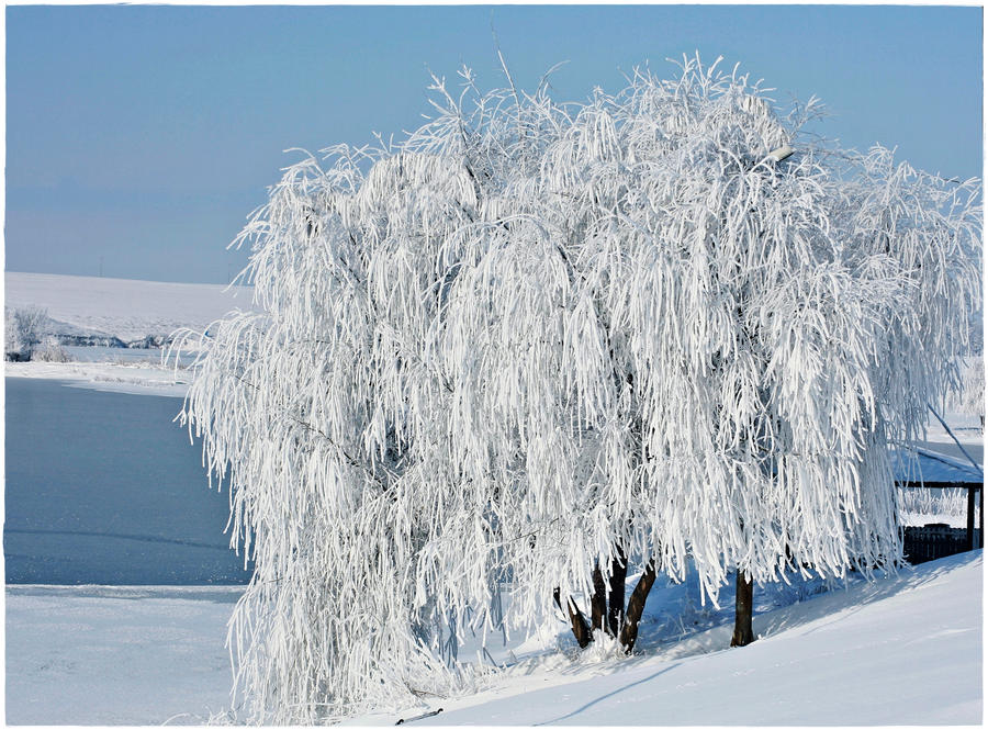 Frozen lake by VasiDragos