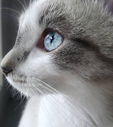 There's a light in hers eyes...