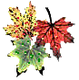 leaves1