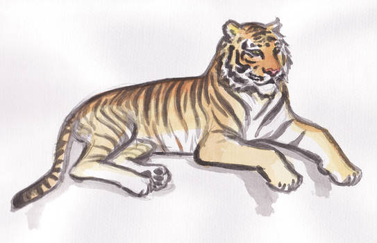 Tiger