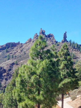 Cruz de Tejeda, Gran Canaria 10