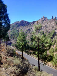 Cruz de Tejeda, Gran Canaria 12