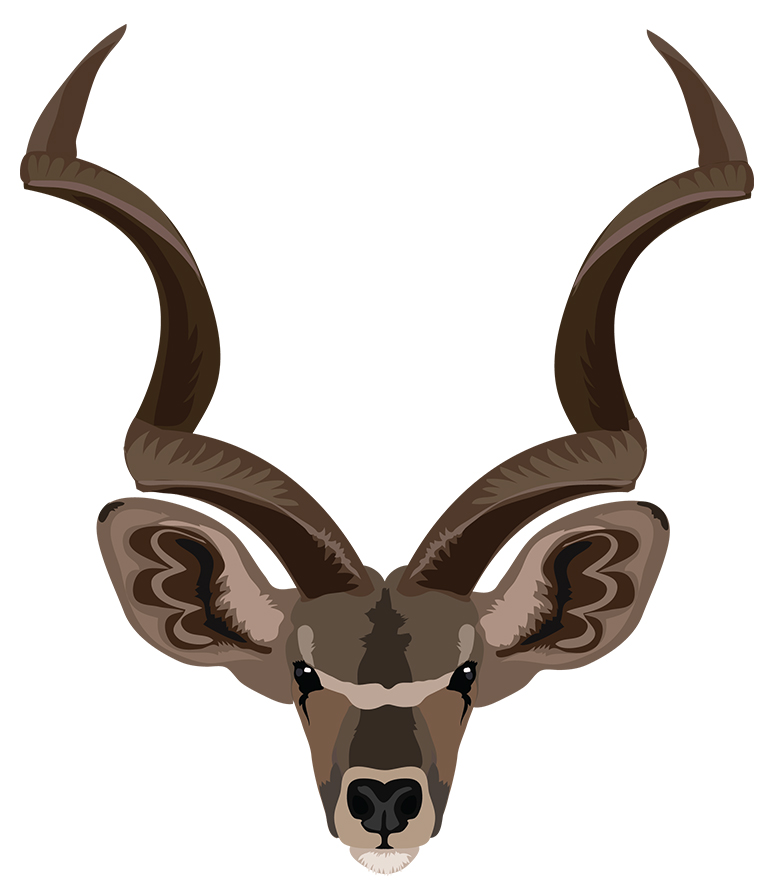 Kudu