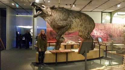 Andrewsarchus