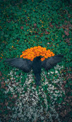 The Fallen by Maquenda