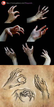 Hand Reference Photos
