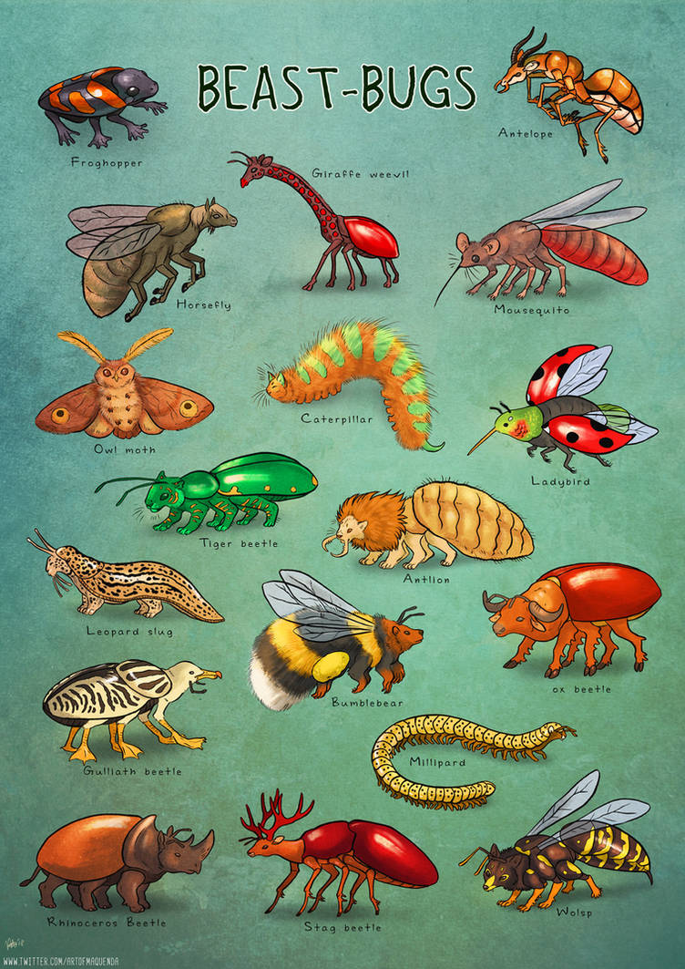 Beast Bugs by Maquenda on DeviantArt