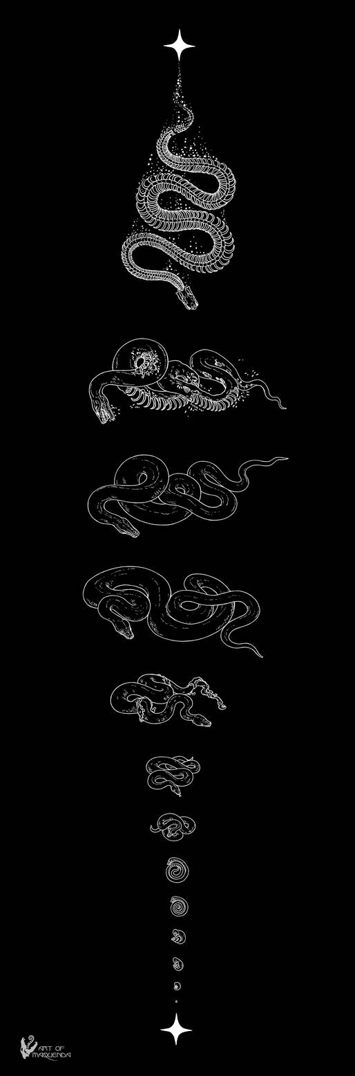From Stardust to Stardust - Reticulated Python by Maquenda on DeviantArt