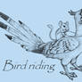 Bird Riding