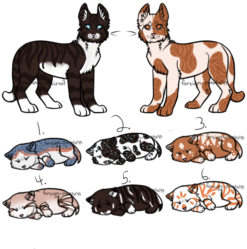 Hawkfrost+Mapleshade Kit Adoptables (CLOSED!)