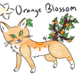 Orange Blossom BC Species Collab Auction (CLOSED!)