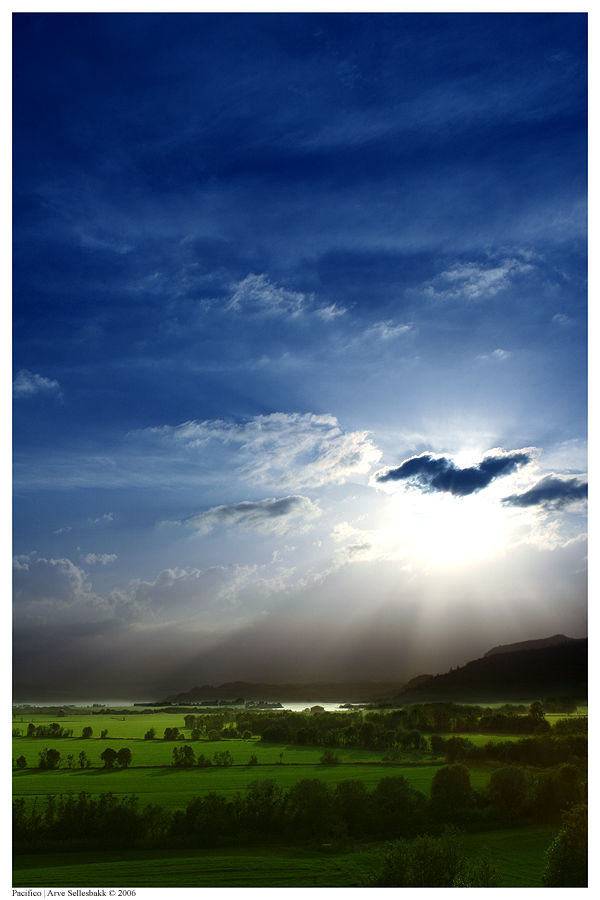 Pacifico by Mr-Frenzy on DeviantArt