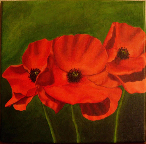 Three poppies