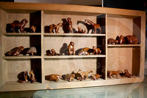 Pinch Animals on Shelf