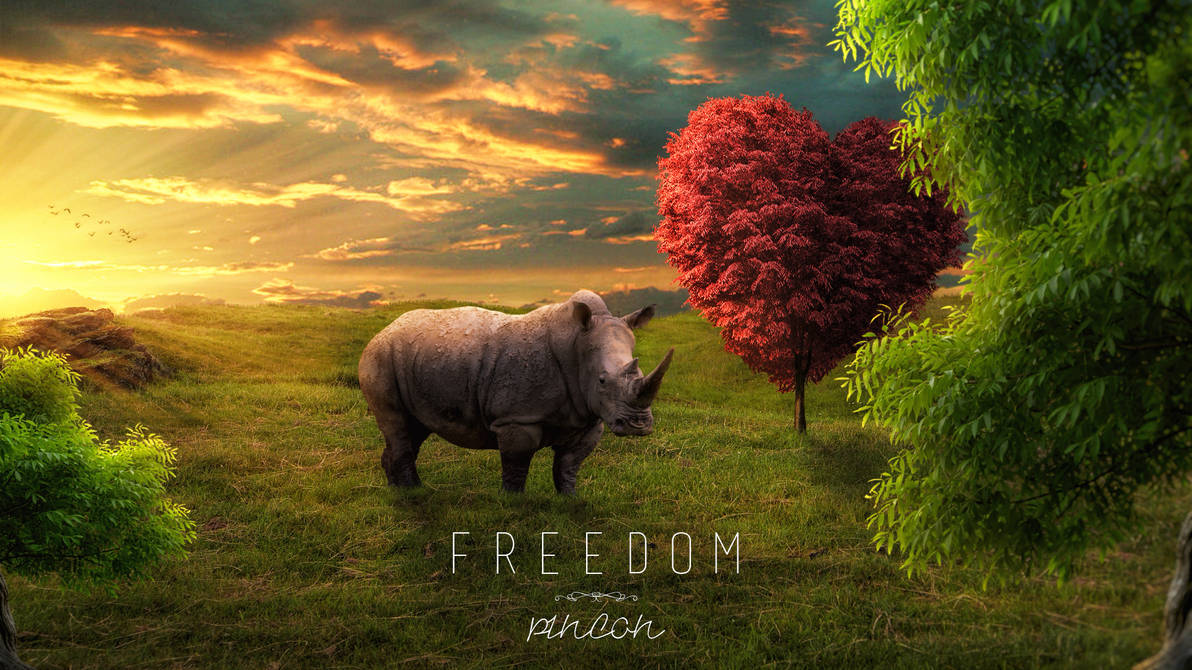 Freedom by Pincons
