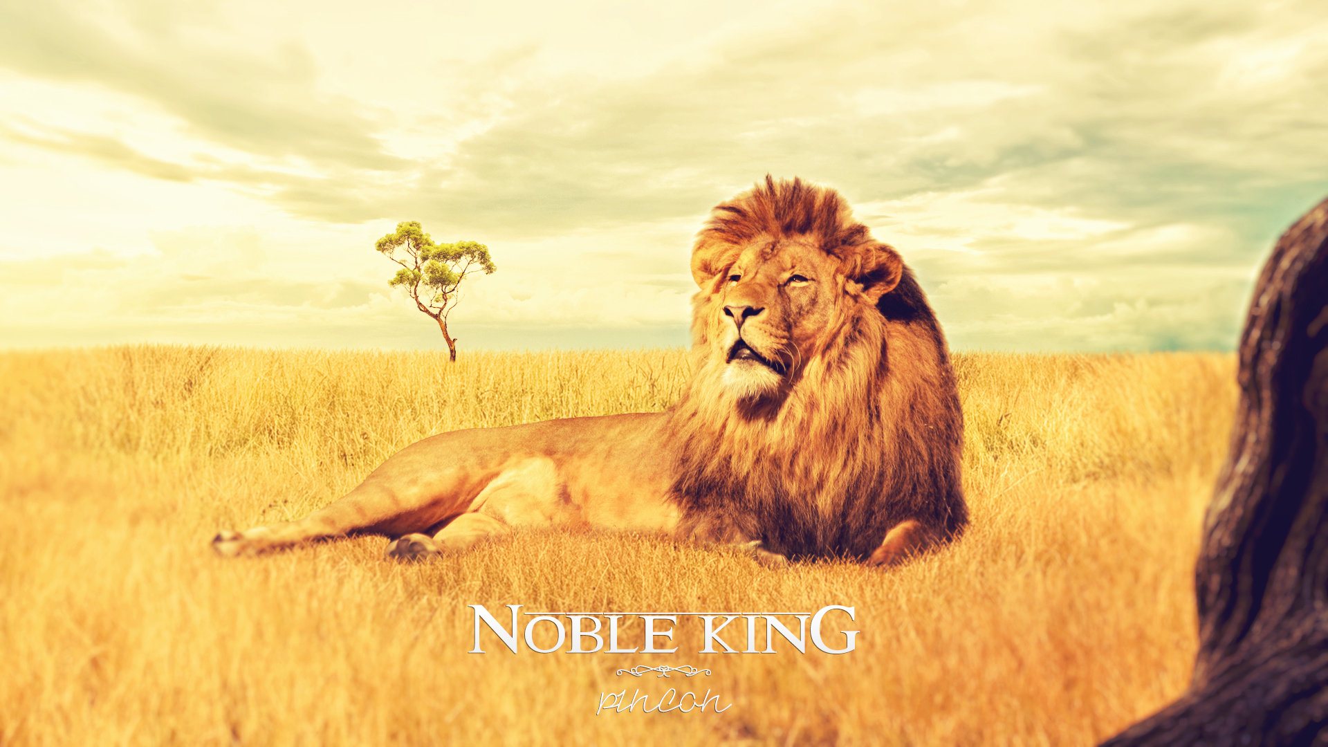 Noble King