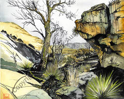 Outback No 1
