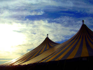 John Peel Tent, Glastonbury