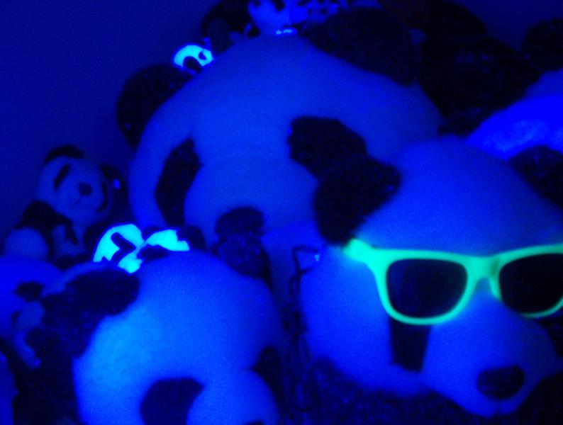 Panda rave