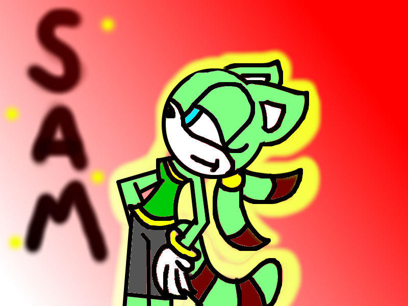 Sam The Racoon sam the raccoon by lilathefox on DeviantArt
