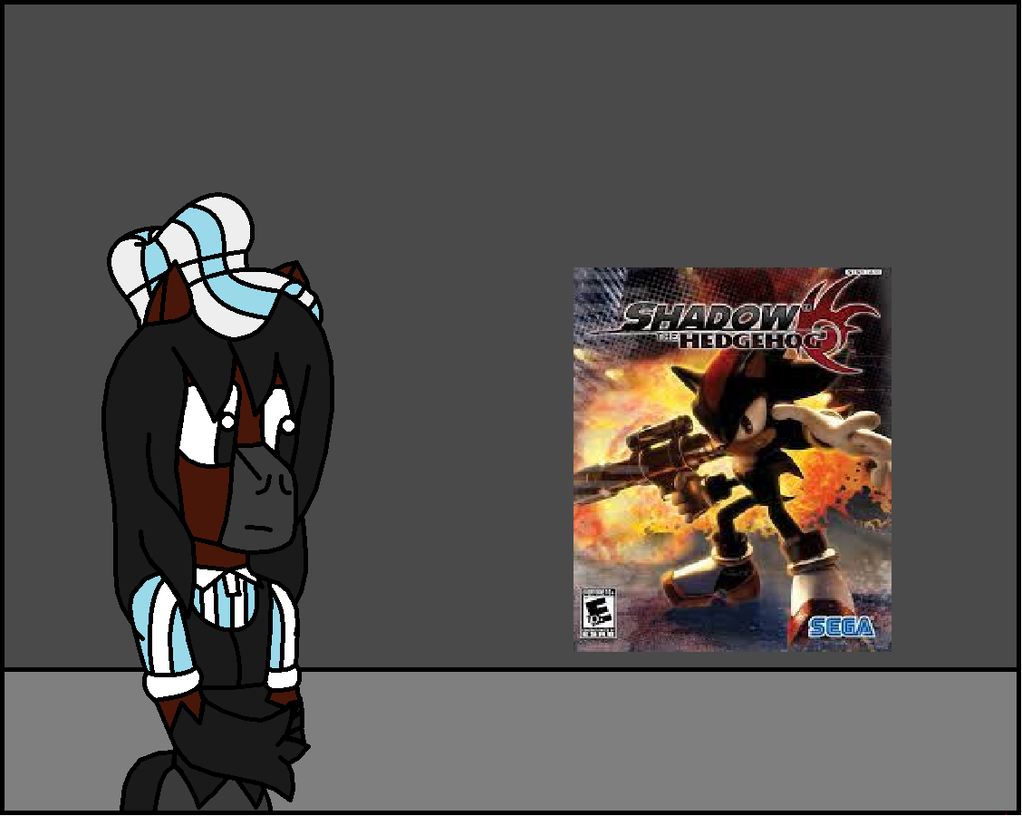 What I Would Change From Shadow The Hedgehog