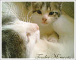 Tender Moments... by Anawielle