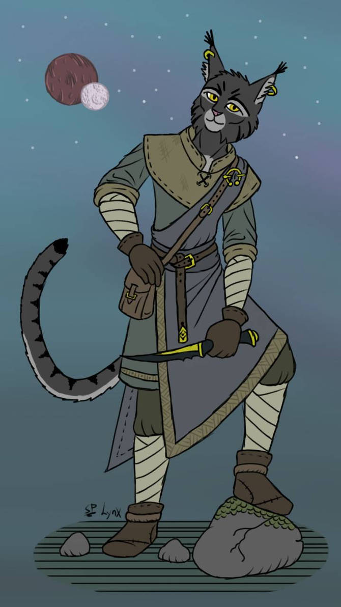 Beast Kin Kajit Khajiit by SouthpawLynx on DeviantArt