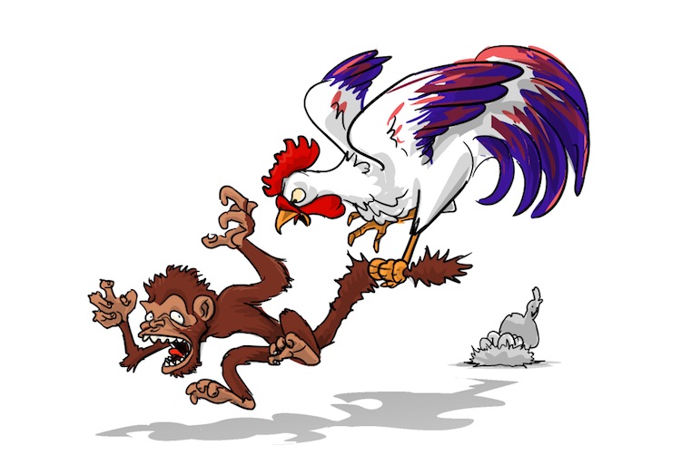 Year of the Rooster vs the Monkey