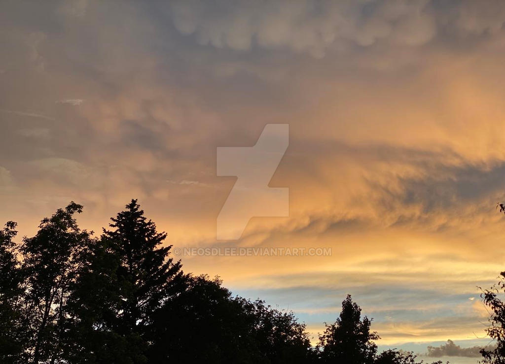 Tree Line Sunset by NeosDLee on DeviantArt