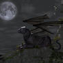 Panther Moon