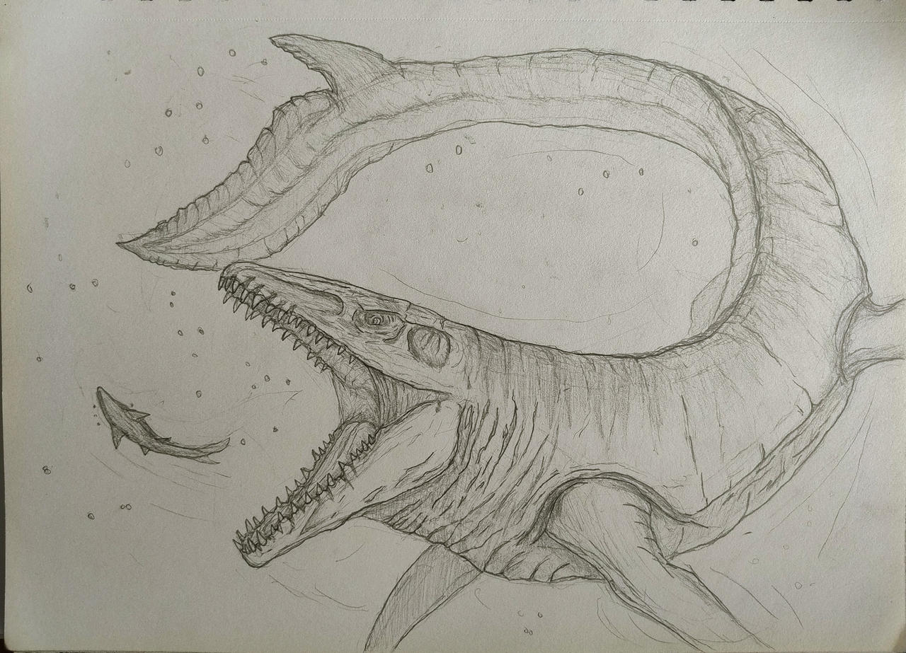 Easy Mosasaurus Mosasaurus - Jurassic World Rebirth by BlackStorm-x23 on DeviantArt